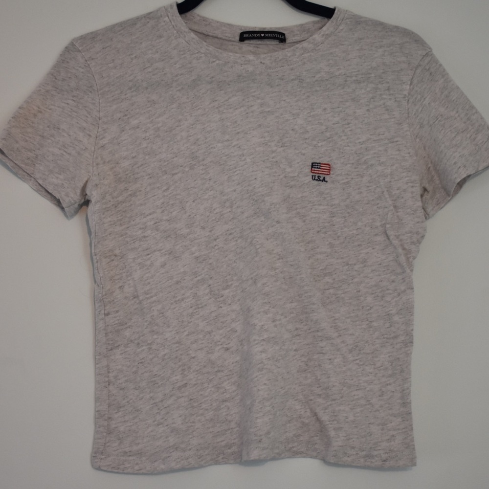 Brandy Melville Jamie USA embroidery top